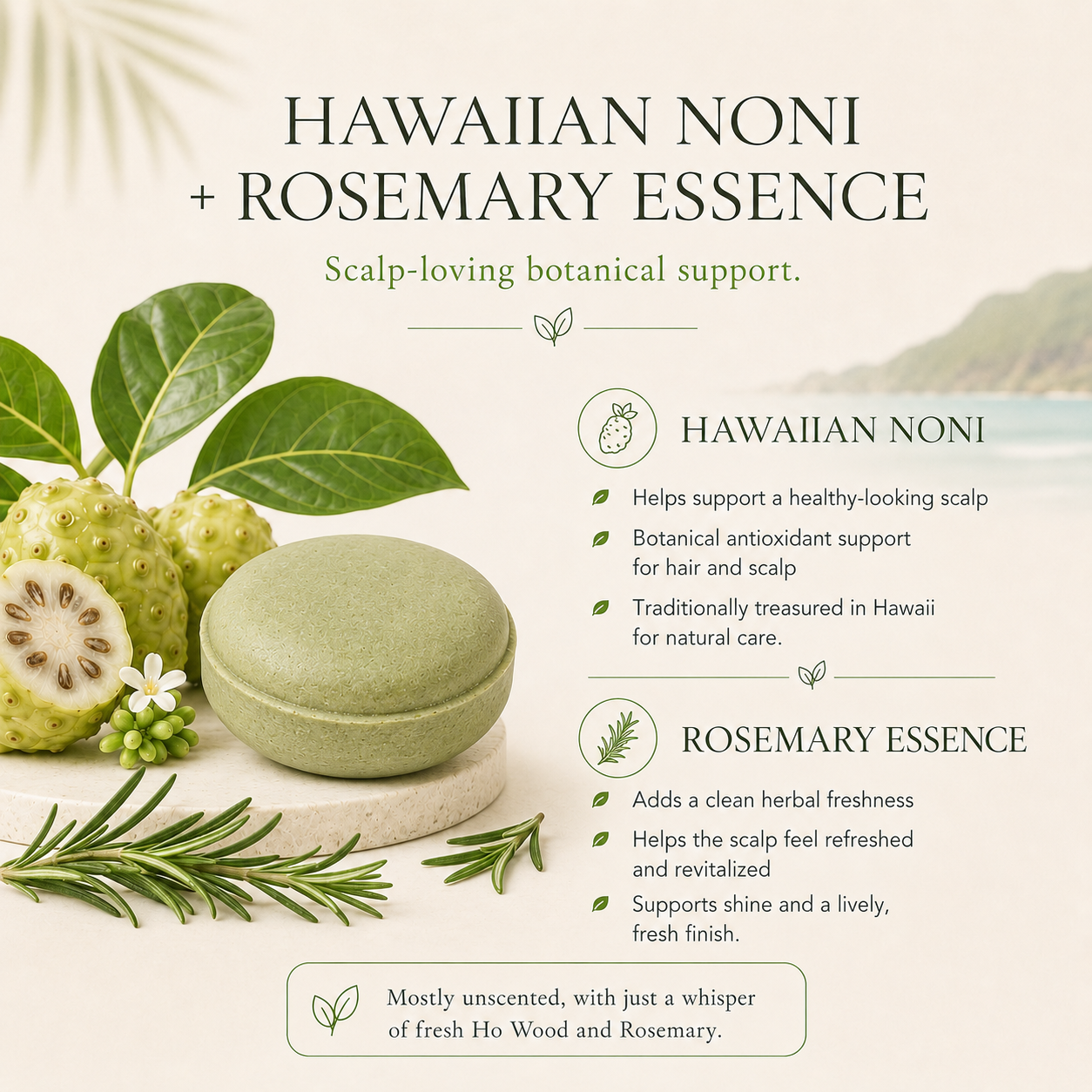 Island Shampoo Bar [NONI] Noni Scalp Care